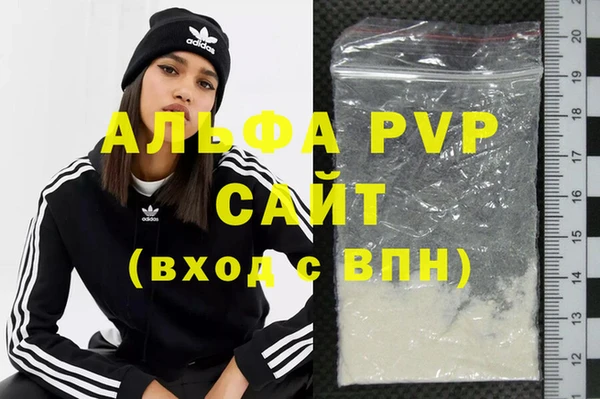 дживик Бородино